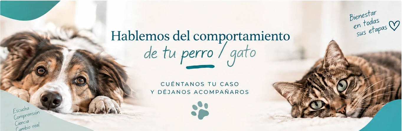 Hablemos del comportamiento de tu perro o gato