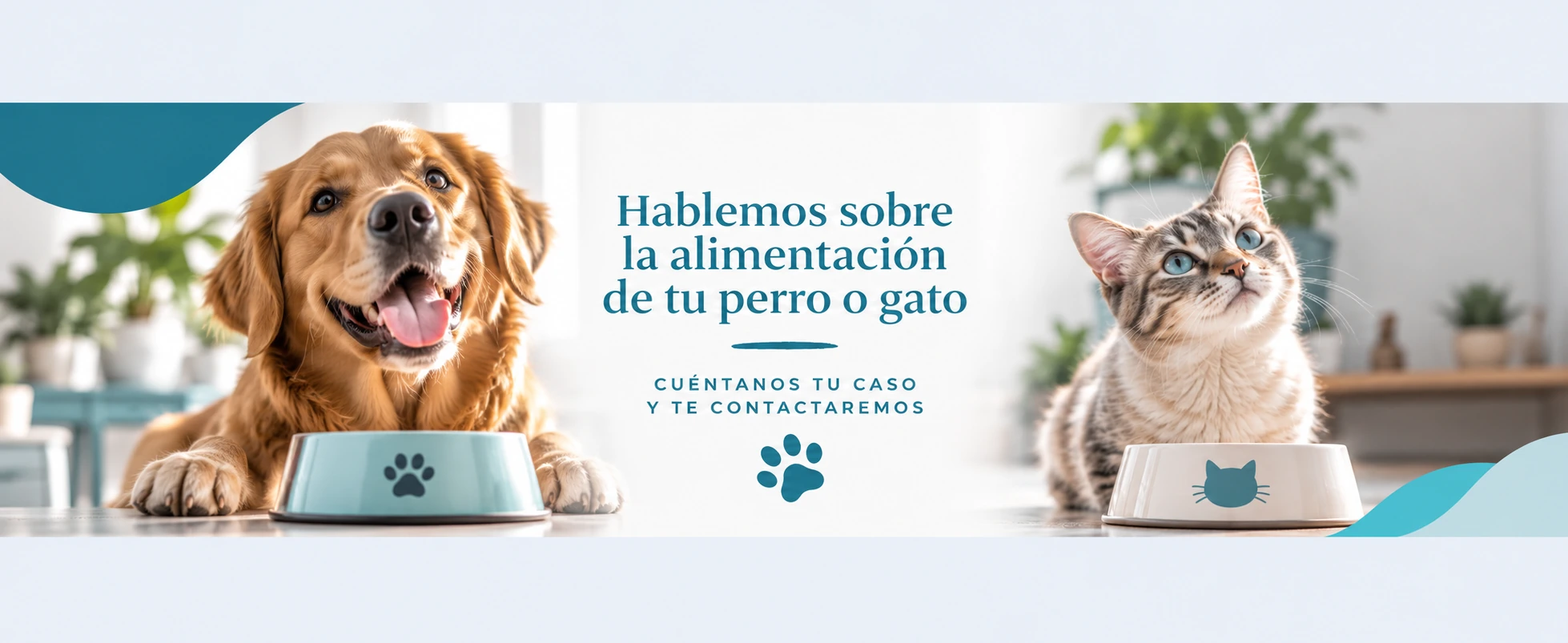Hablemos sobre la alimentación de tu perro o gato