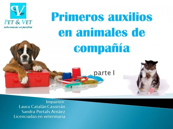 Primeros Auxilios En Animales De Compañía. Parte I – Pet And Vet ...