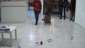 vlcsnap-2016-01-07-12h32m56s839