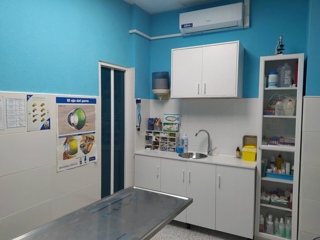 Consulta para perros Pet & Vet Veterinarios