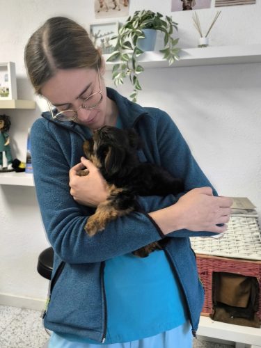 Lucía Pet & Vet Veterinarios