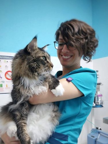 Sandra Pet & Vet Veterinarios